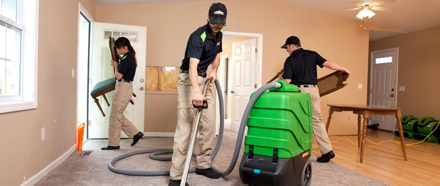 Woodbury, MN cleaning services